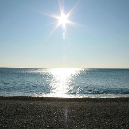 Apartments Galija Petrovac Buitenkant foto