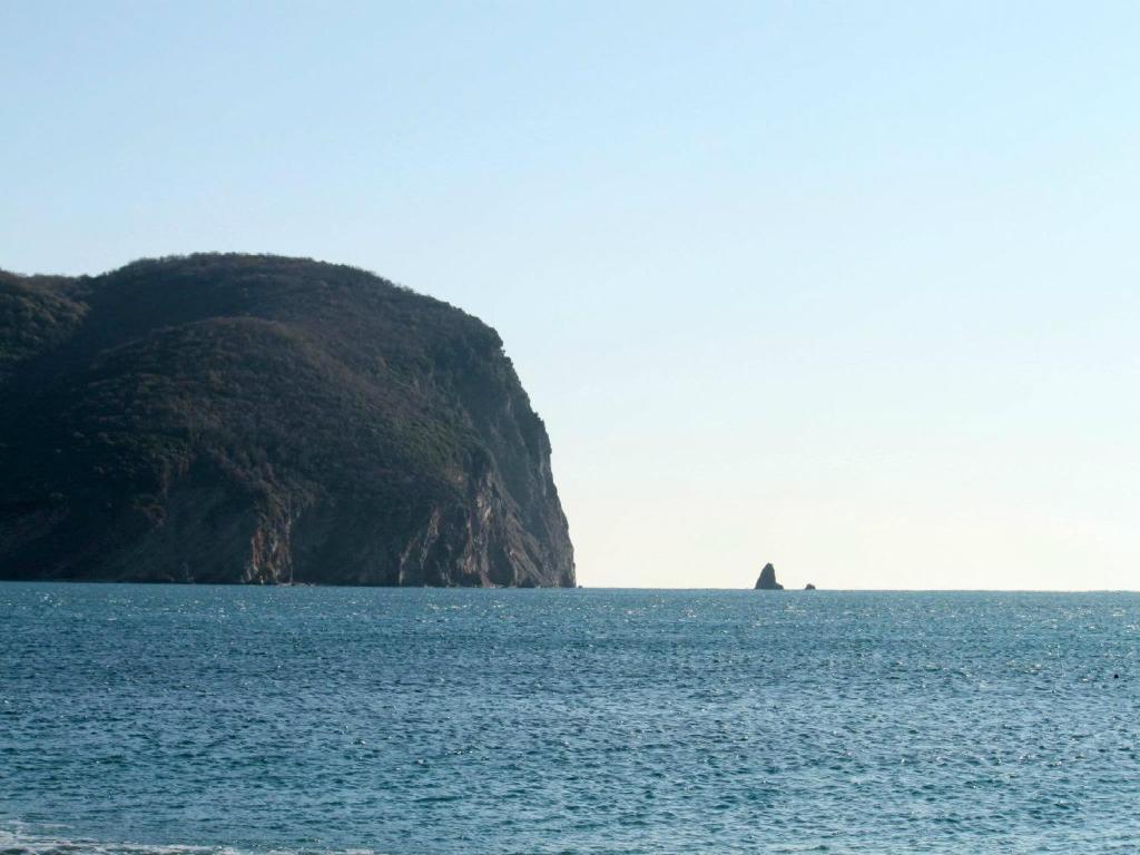 Apartments Galija Petrovac Buitenkant foto